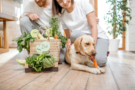 Alimentos buenos para perros