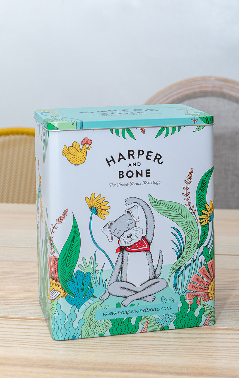 Caja metálica - Harper & Bone