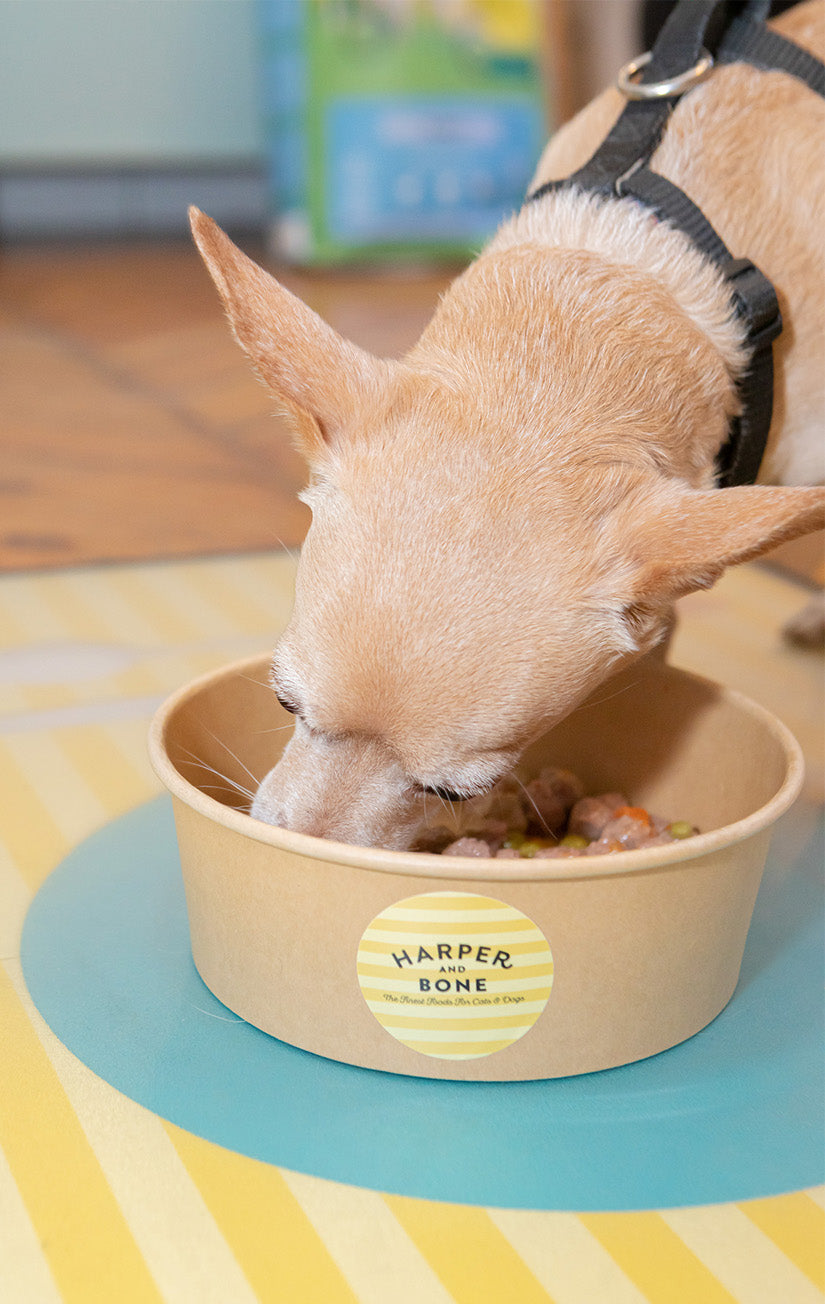 Albóndigas para perros - Flavours of the farm