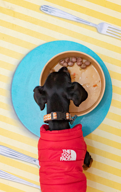 Albóndigas para perros - Ocean wonders