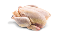 pollo.png