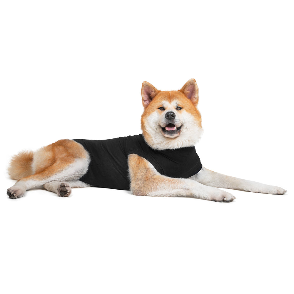 Recovery Suit® Perro - Camiseta de recuperación para perros - Color negro