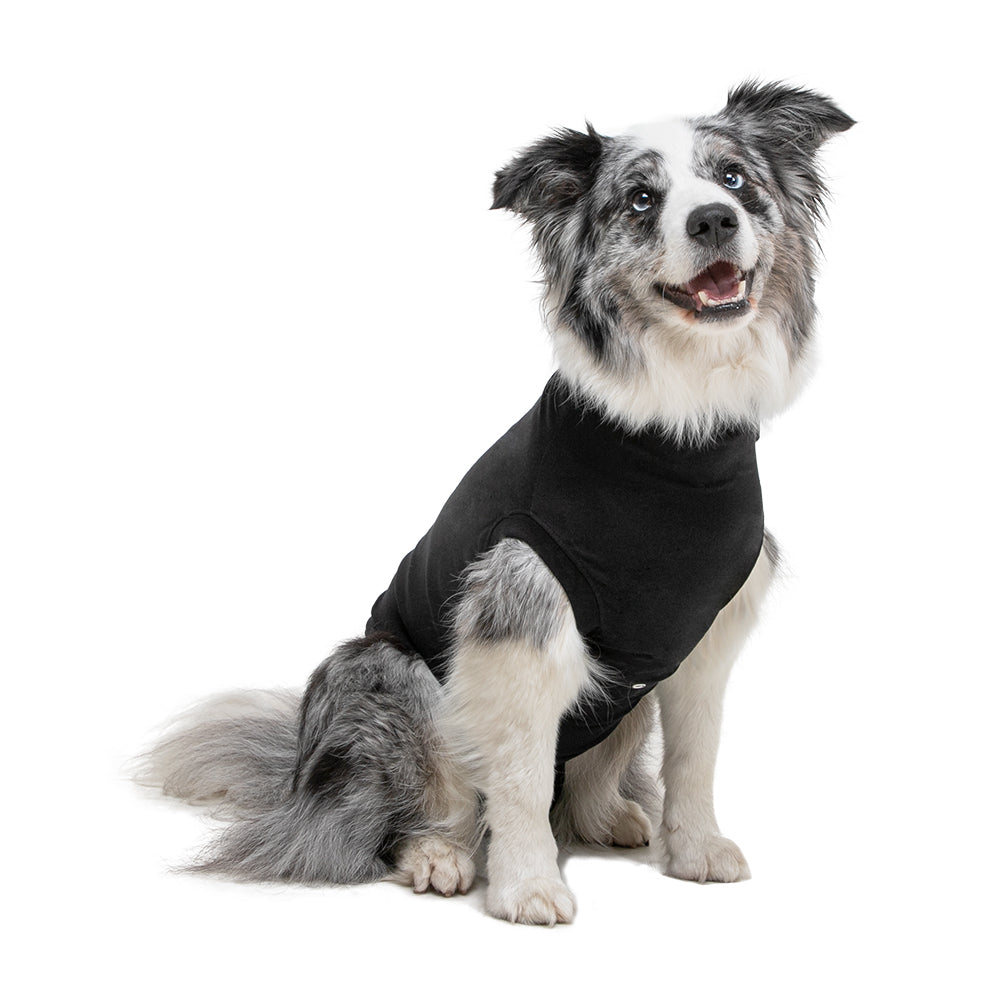Recovery Suit® Perro - Camiseta de recuperación para perros - Color negro