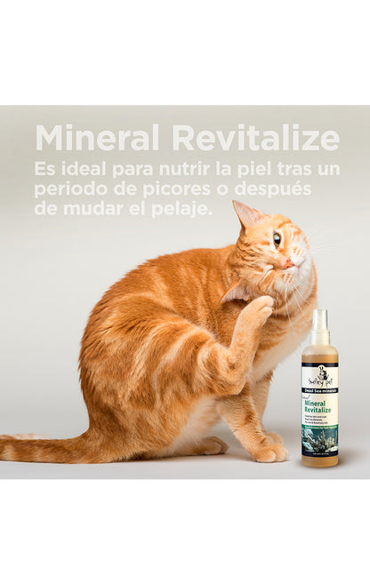 Mineral Revitalize